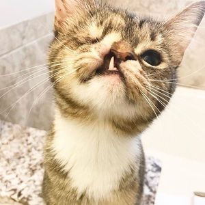 Meet your Posher, Eileen